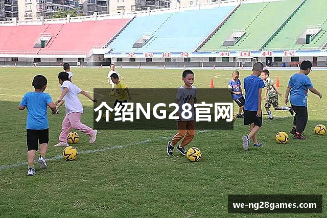 介绍NG28官网